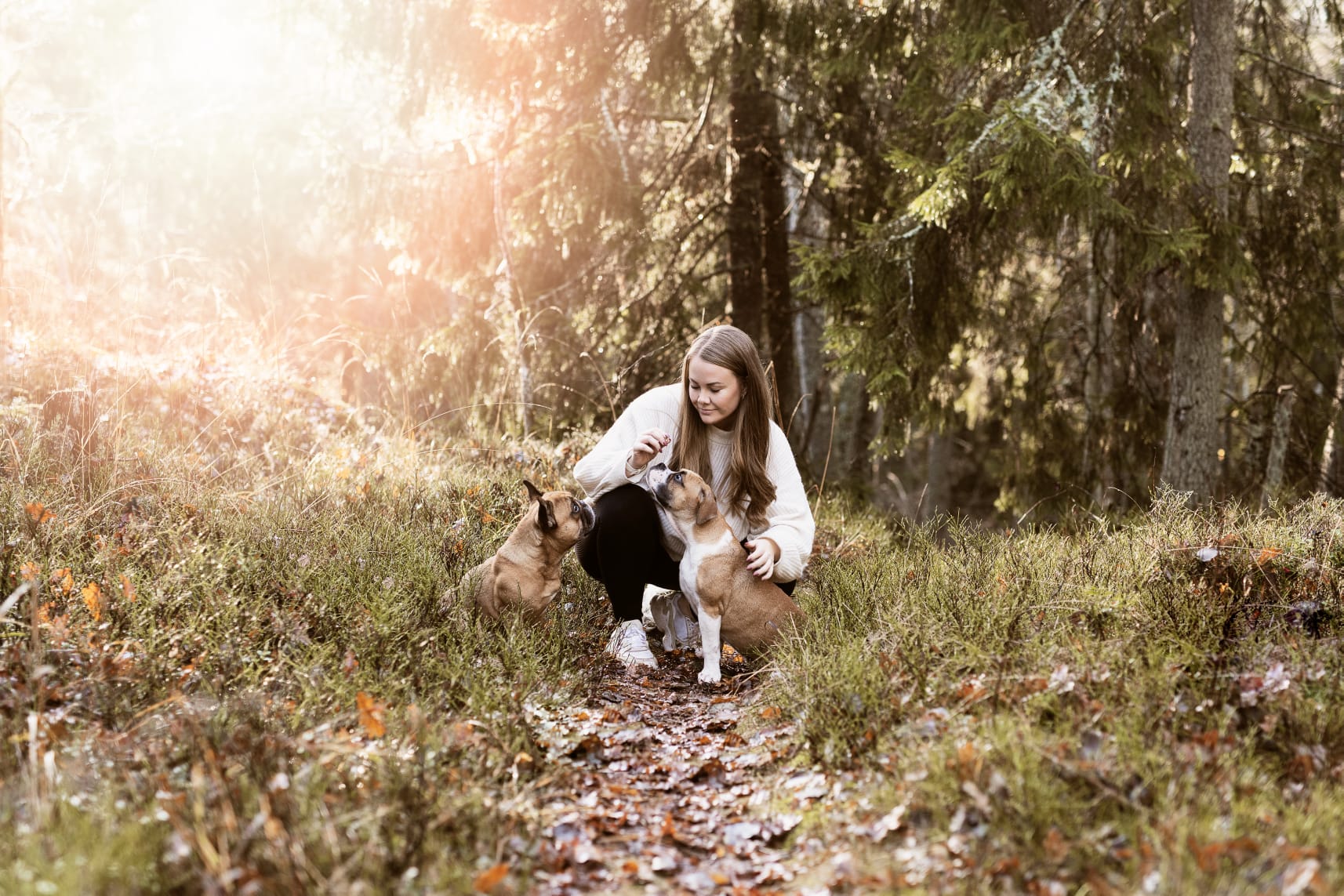 BarkBuddies och hundar i naturlig miljö