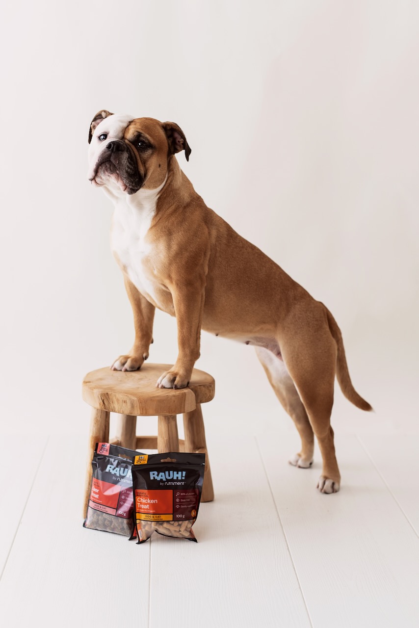 Hund med BarkBuddies-känsla